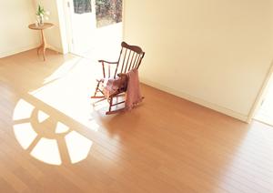 42円太陽光分譲土地などの販売会社