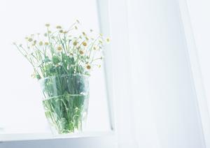 常に丁寧な作業を行っている会社